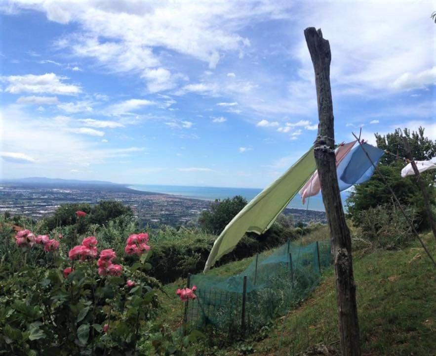 Bed & Breakfast Villa Masini-Luccetti Pietrasanta Kültér fotó